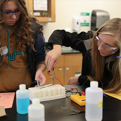 文章：11月科学日