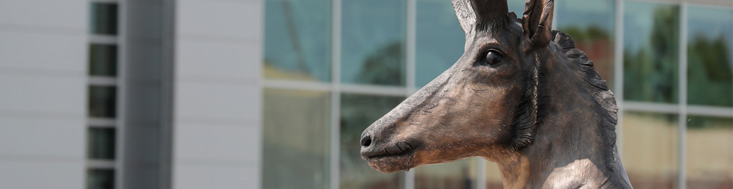 a photo of a bronze statue of a pronghorn on 太阳城娱乐官网's campus