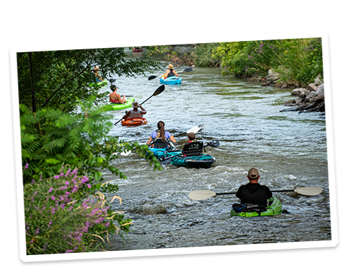 科尔尼会给你惊喜的