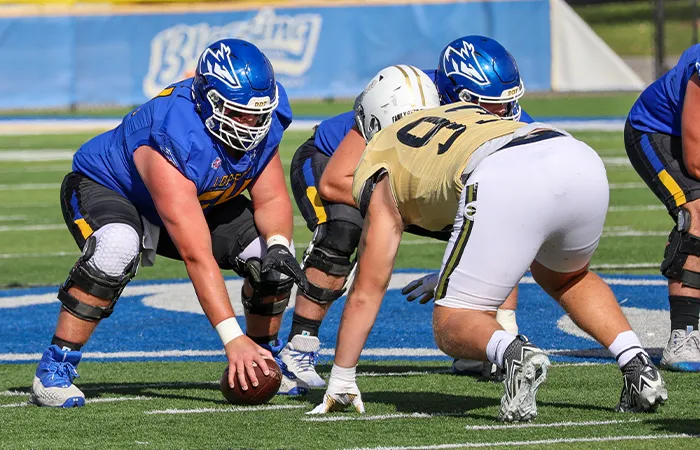 shot of a football game with the play about to begin
