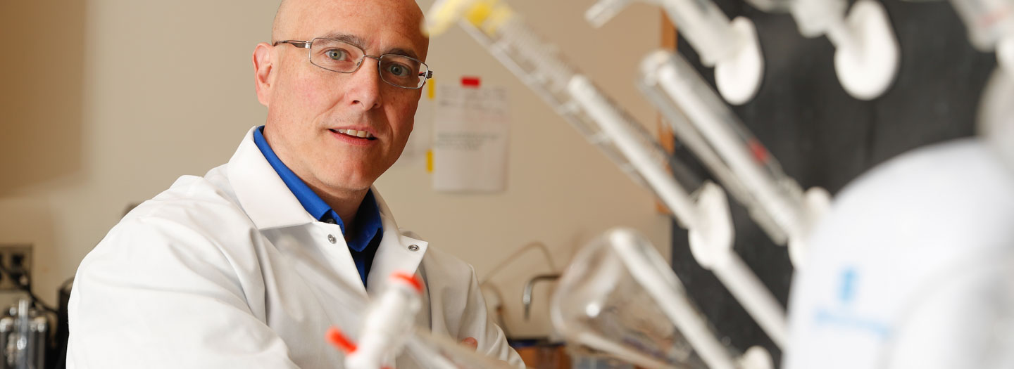 太阳城娱乐官网 chemistry professor