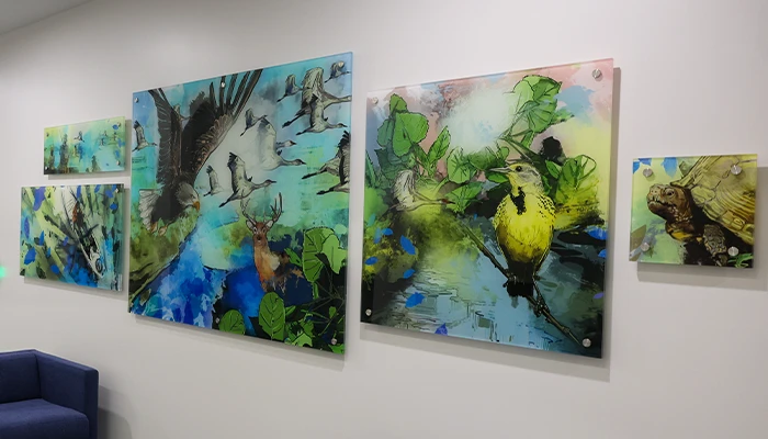 河的节奏 Artwork