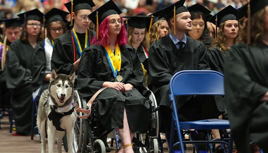 a student in a wheelchair with a service dog attends commencement