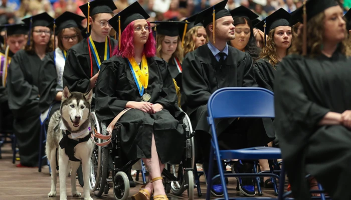 A group of graduates seated at graduation, featuring a student in a wheelchair accompanied by a service dog.