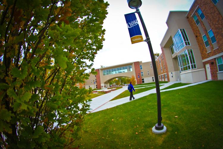 太阳城娱乐官网 Flagpole Banner