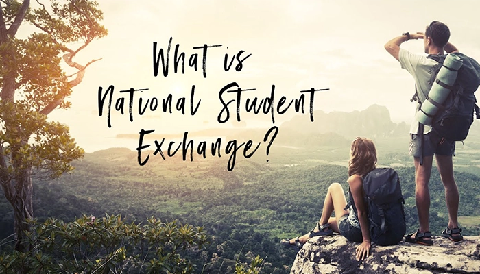 thumbnail for a youtube video with the words what is the national student exchange
